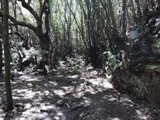 Parque Arqueológico La Zarza y Caldera de Agua